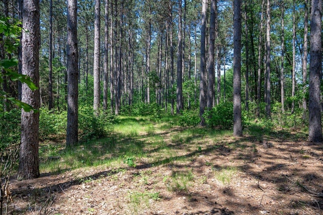 W5671 8th St, Necedah, WI 54646 - view of wooded area