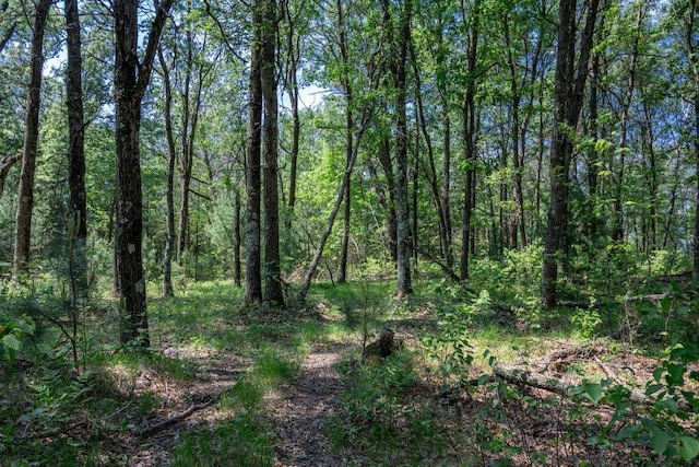 W5671 8th St, Necedah, WI 54646 - view of wooded area