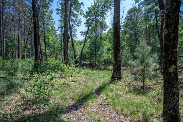 W5671 8th St, Necedah, WI 54646 - view of woods