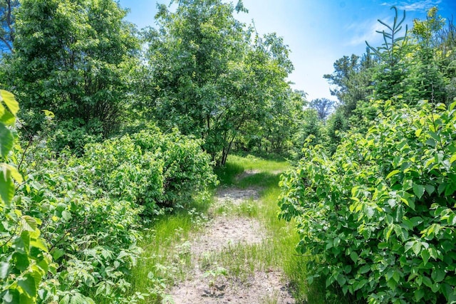 W5671 8th St, Necedah, WI 54646 - view of nature