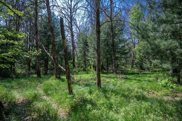 W5671 8th St, Necedah, WI 54646 - view of woods