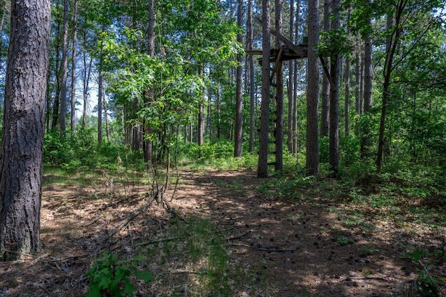 W5671 8th St, Necedah, WI 54646 - view of tree filled area