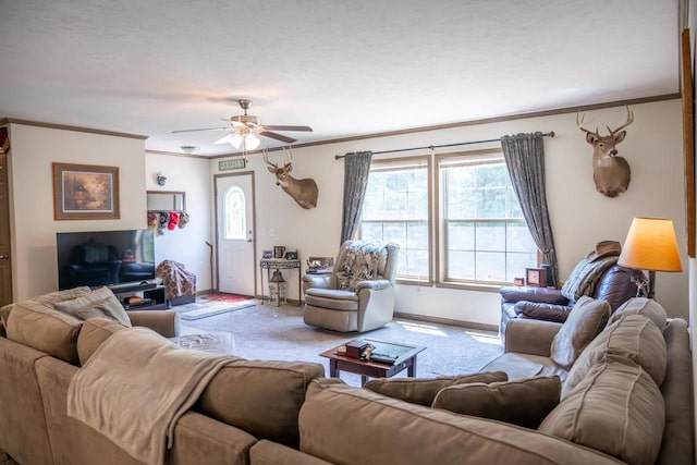 W5671 8th St, Necedah, WI 54646 - carpeted living area with crown molding and ceiling fan