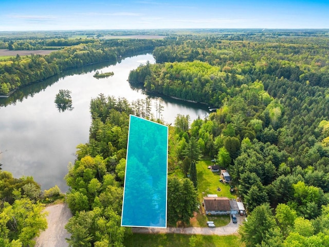 W9173 W 10th Rd, Pound, WI 54161 - view of property location with a large body of water and property boundaries highlighted