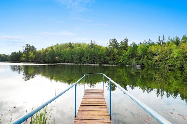 W9173 W 10th Rd, Pound, WI 54161 - dock featuring a water view and a view of trees