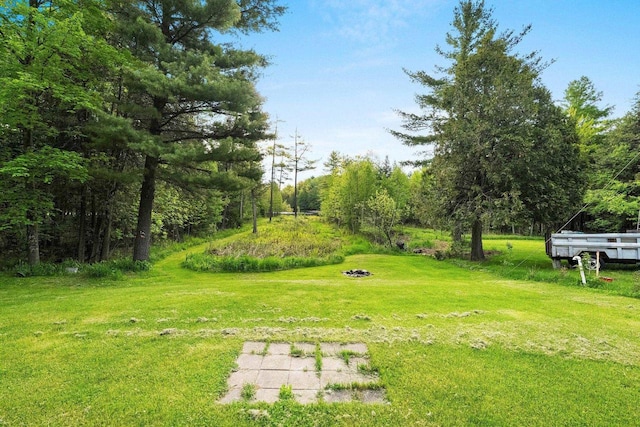 W9173 W 10th Rd, Pound, WI 54161 - view of green lawn