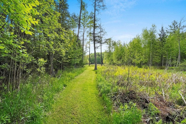 W9173 W 10th Rd, Pound, WI 54161 - view of woods