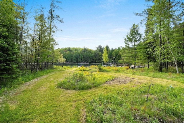 W9173 W 10th Rd, Pound, WI 54161 - view of yard featuring a view of trees and a water view