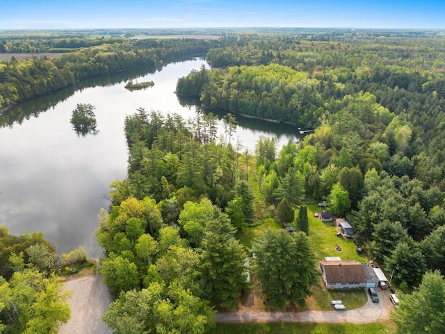 W9173 W 10th Rd, Pound, WI 54161 - aerial view of a forest and a large body of water