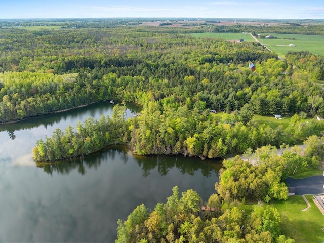 W9173 W 10th Rd, Pound, WI 54161 - bird's eye view of a forest and a large body of water