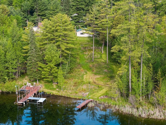 W9173 W 10th Rd, Pound, WI 54161 - drone / aerial view of a forest and a nearby body of water