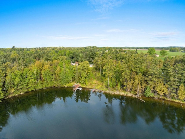 W9173 W 10th Rd, Pound, WI 54161 - aerial view of property's location featuring a forest and a large body of water