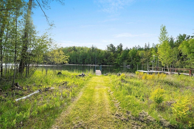 W9173 W 10th Rd, Pound, WI 54161 - view of yard featuring a forest view and a water view