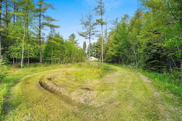 W9173 W 10th Rd, Pound, WI 54161 - view of woods