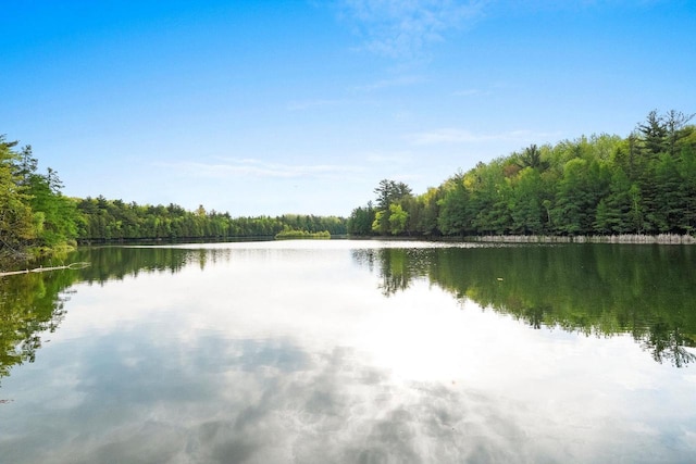 W9173 W 10th Rd, Pound, WI 54161 - water view with a heavily wooded area