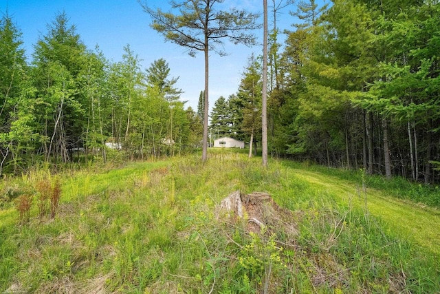 W9173 W 10th Rd, Pound, WI 54161 - view of woods