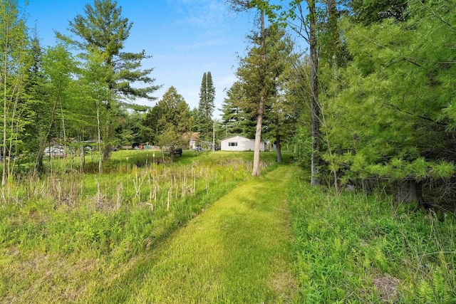 W9173 W 10th Rd, Pound, WI 54161 - view of yard
