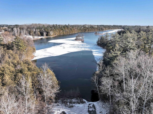 W9173 W 10th Rd, Pound, WI 54161 - water view with a heavily wooded area