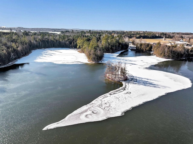 W9173 W 10th Rd, Pound, WI 54161 - water view