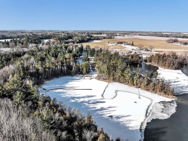 W9173 W 10th Rd, Pound, WI 54161 - aerial view of property's location with a nearby body of water