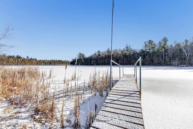 W9173 W 10th Rd, Pound, WI 54161 - dock with a view of trees