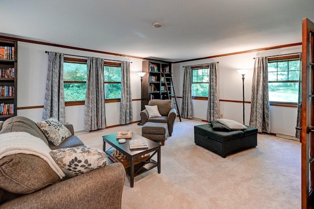 3590 Sabaka Trl, Verona, WI 53593 - living room featuring ornamental molding and light colored carpet