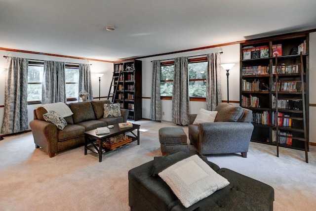 3590 Sabaka Trl, Verona, WI 53593 - carpeted living room featuring crown molding