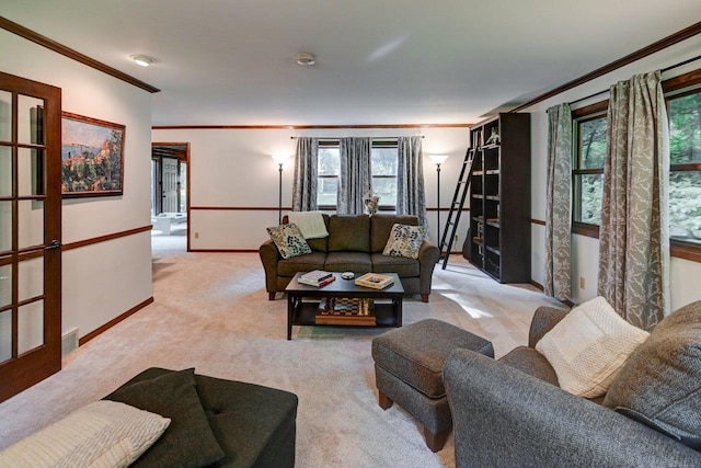 3590 Sabaka Trl, Verona, WI 53593 - living room featuring ornamental molding and carpet flooring