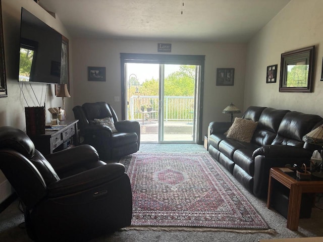 4842 N Marlo Way Unit 35, Appleton, WI 54913 - living room featuring carpet flooring