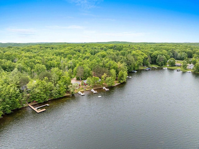 9347 Musky Bay Ln, Harshaw, WI 95429 - bird's eye view of a nearby body of water