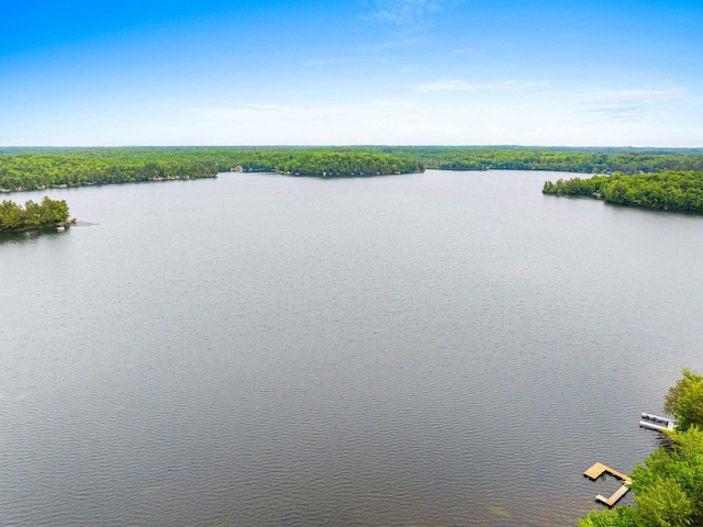 9347 Musky Bay Ln, Harshaw, WI 95429 - water view