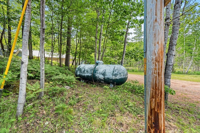 9347 Musky Bay Ln, Harshaw, WI 95429 - view of yard