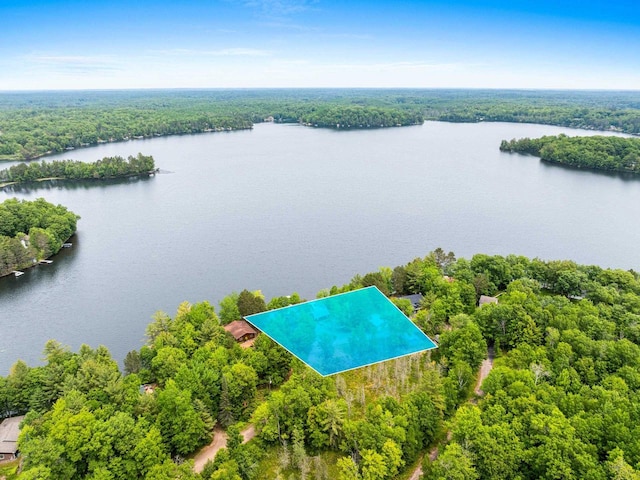 9347 Musky Bay Ln, Harshaw, WI 95429 - drone / aerial view of a large body of water