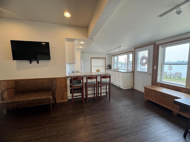 N2817 Rustic Dr, Clintonville, WI 54929 - foyer featuring track lighting, dark wood finished floors, recessed lighting, and lofted ceiling
