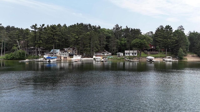 N2817 Rustic Dr, Clintonville, WI 54929 - water view featuring a heavily wooded area