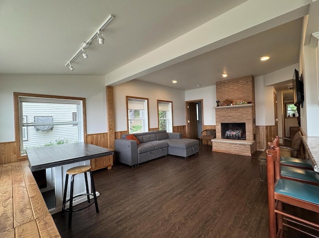 N2817 Rustic Dr, Clintonville, WI 54929 - living area featuring wainscoting, dark wood-style flooring, wood walls, track lighting, and a fireplace