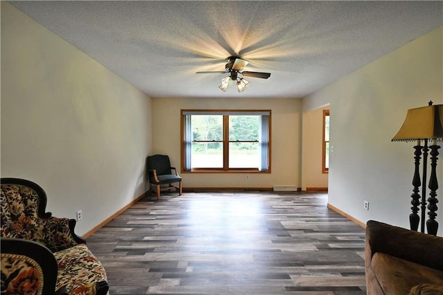 W5342 County Highway F, Trego, WI 54888 - living area featuring wood finished floors, ceiling fan, and a textured ceiling