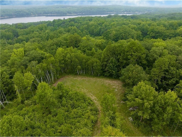 W5342 County Highway F, Trego, WI 54888 - aerial view of a nearby body of water and a heavily wooded area