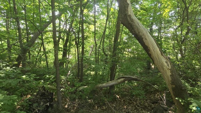 XX S 4th St, Bayfield, WI 54814