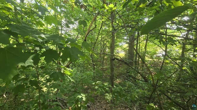 XX S 4th St, Bayfield, WI 54814