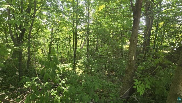 XX S 4th St, Bayfield, WI 54814