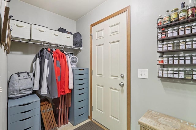 7042 Littlemore Dr, Madison, WI 53718 - view of spacious closet