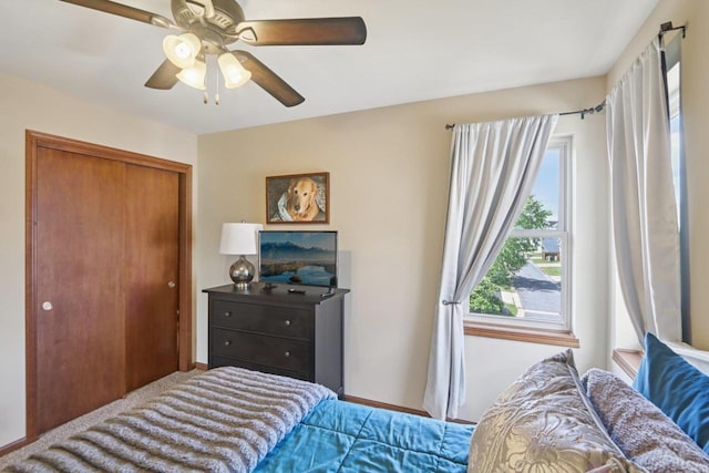 7042 Littlemore Dr, Madison, WI 53718 - bedroom with a closet and a ceiling fan