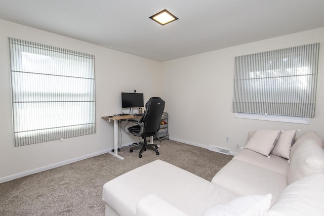 8725 N Fielding Rd, Bayside, WI 53217 - home office with carpet floors and baseboards