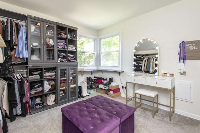 8725 N Fielding Rd, Bayside, WI 53217 - spacious closet featuring carpet floors