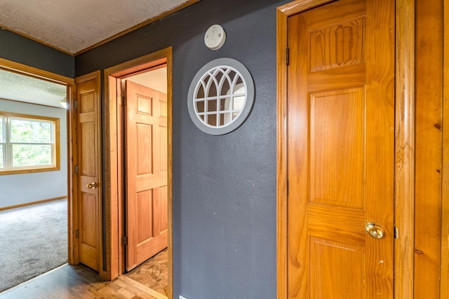 2941 Plover Rd, Wisconsin Rapids, WI 54494 - hallway featuring wood finished floors and a textured wall