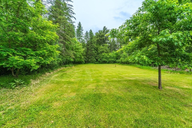 2941 Plover Rd, Wisconsin Rapids, WI 54494 - view of grassy yard