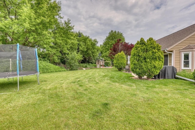 W227N2527 Meadowood Ln, Waukesha, WI 53186 - view of green lawn featuring a trampoline and a playground
