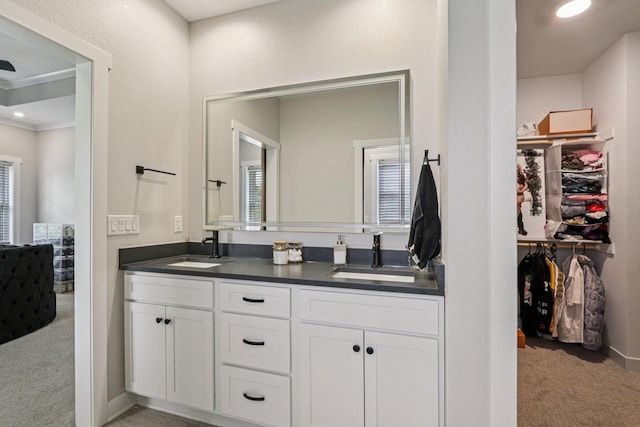 2322 Kae Ct, Mount Pleasant, WI 53406 - bathroom with double vanity, crown molding, and a spacious closet