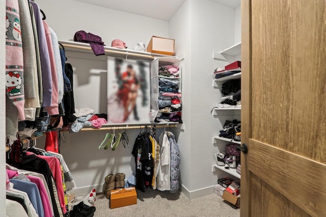 2322 Kae Ct, Mount Pleasant, WI 53406 - walk in closet featuring carpet floors